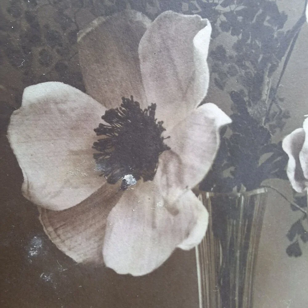 Antique REX 619 Floral Postcard Sepia Botanical Art‎ Belgium Postmark Brown Aged